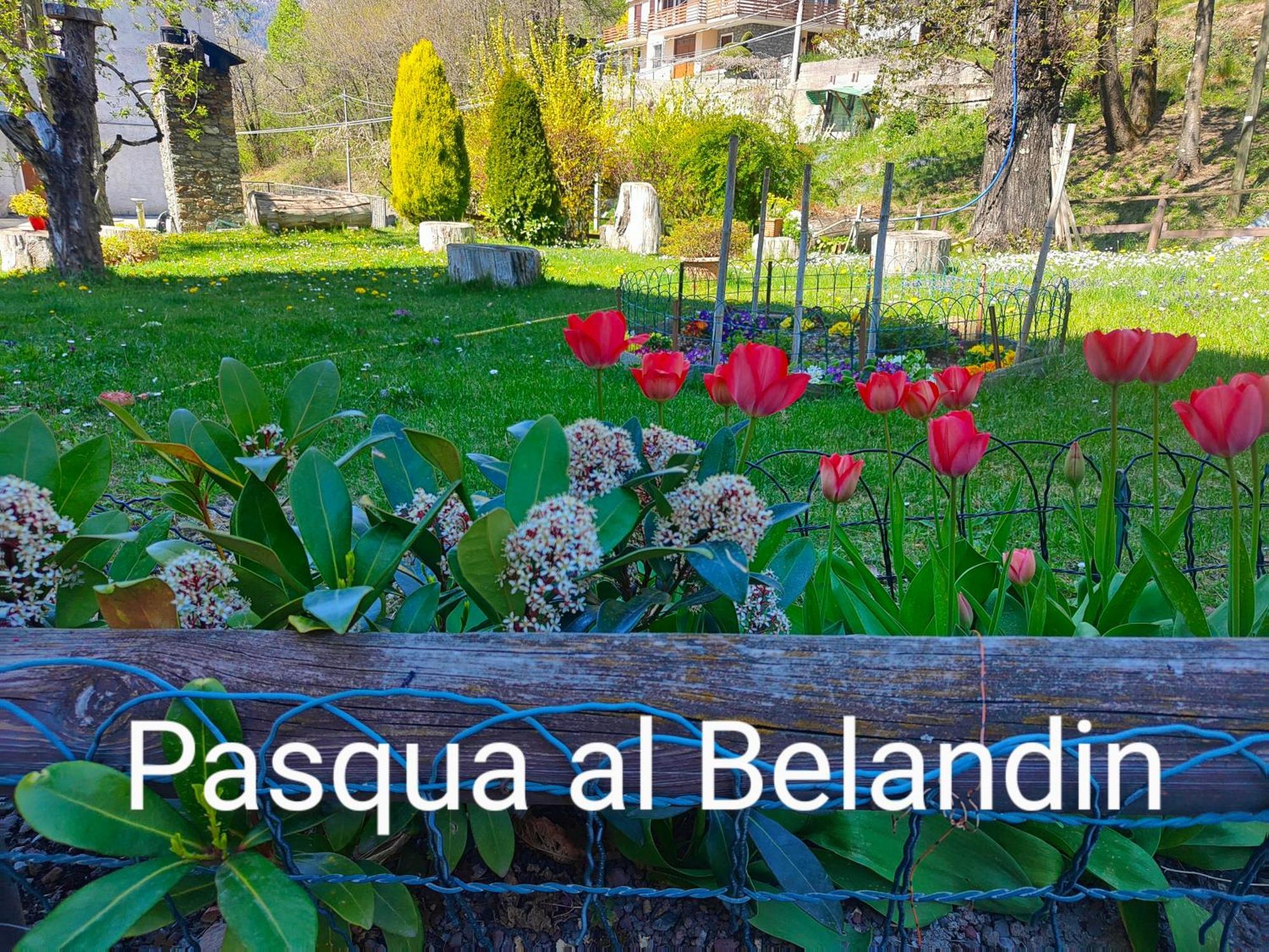 Belandin Ristorante Hotel Teglio Exterior photo